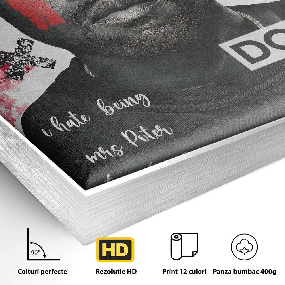 Detaliu al suprafetei: tablou canvas cu portretul stilizat al lui kanye west, in rama de aluminiu argintiu