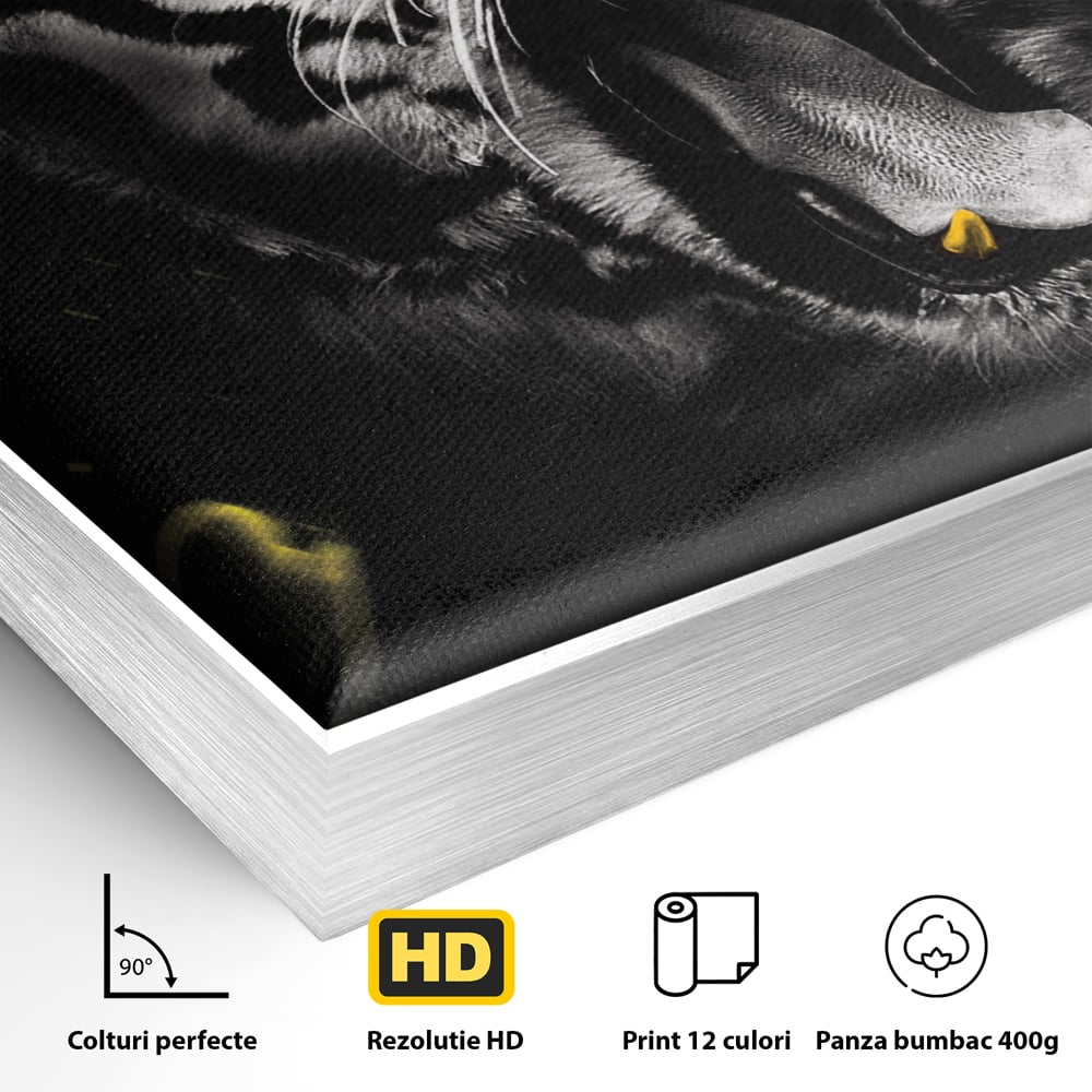 Detaliu al suprafetei: tablou vertical cu tigru si text, in rama de aluminiu argintiu