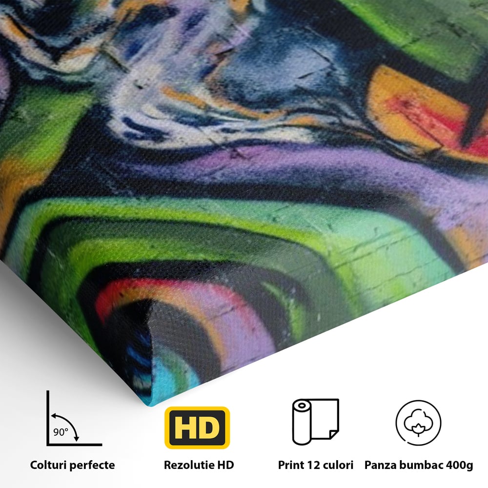 Detaliu al suprafetei: tablou canvas cu graffiti abstract colorat, fara rama, pe sasiu de lemn