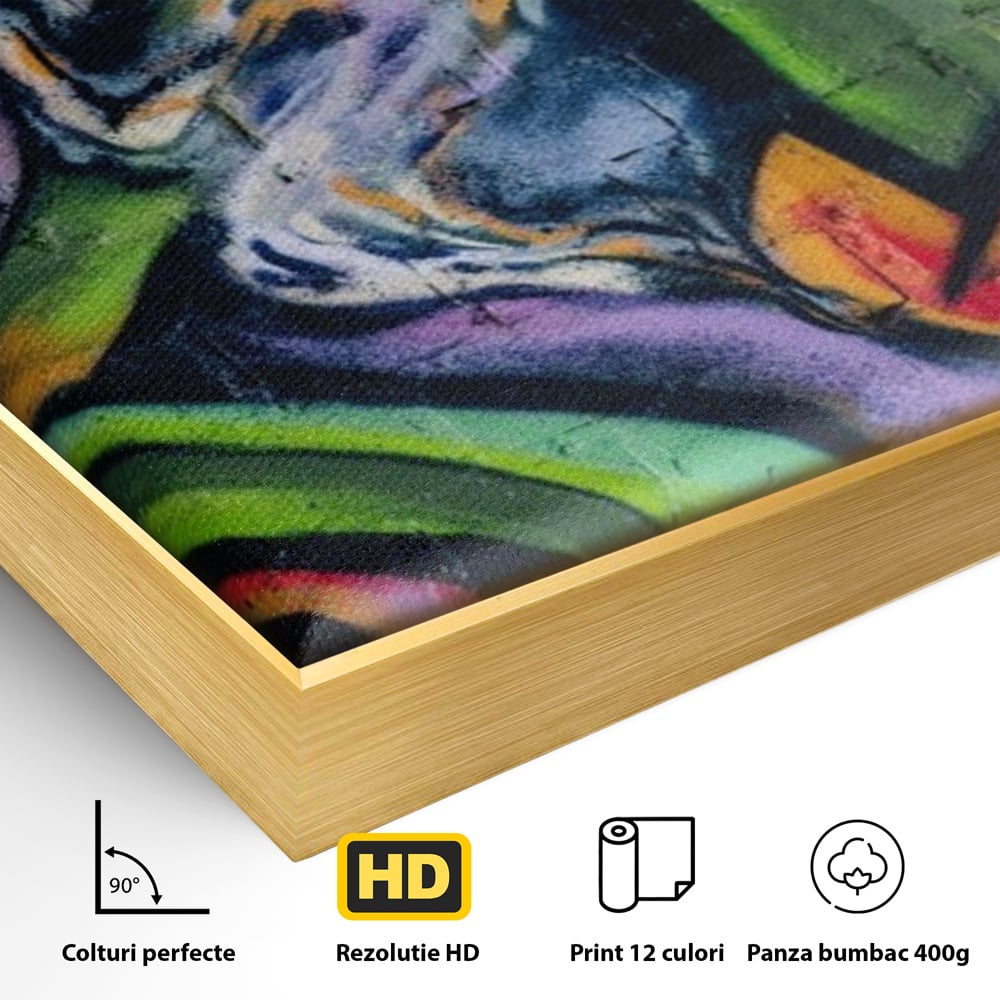 Detaliu al suprafetei: tablou canvas cu graffiti abstract colorat, in rama de aluminiu auriu