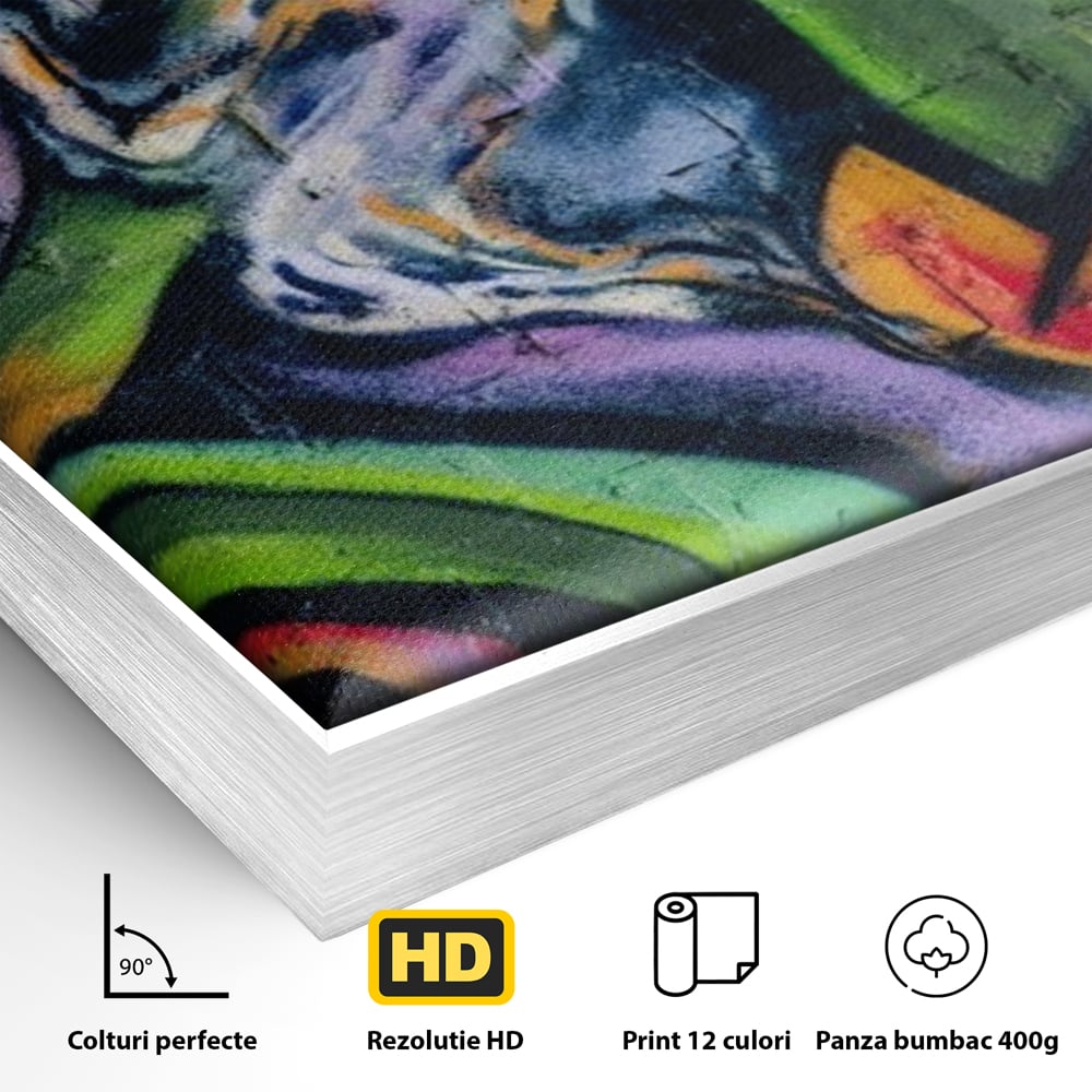 Detaliu al suprafetei: tablou canvas cu graffiti abstract colorat, in rama de aluminiu argintiu