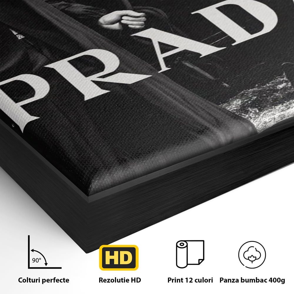 Detaliu al suprafetei: tablou canvas cu manechin cal si caine, in rama de aluminiu negru