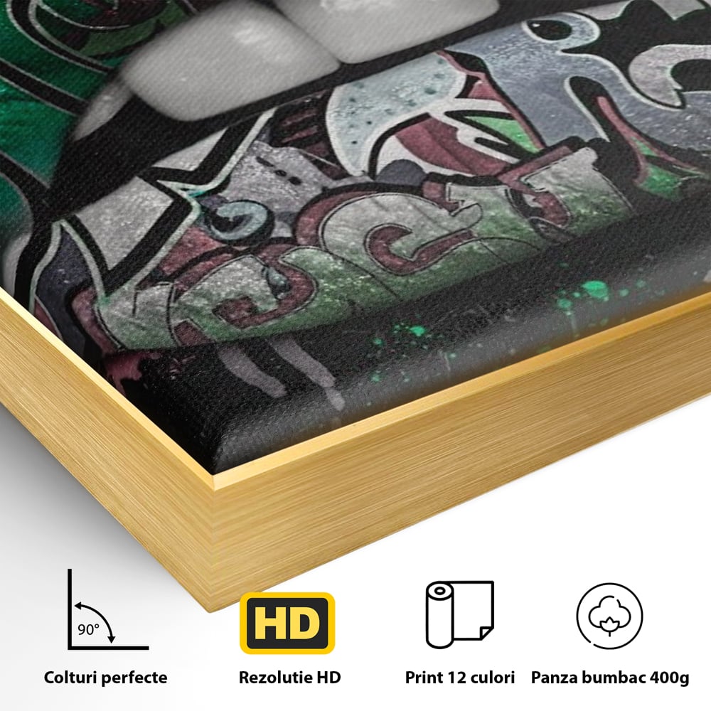 Detaliu al suprafetei: tablou canvas cu buze si graffiti verde, in rama de aluminiu auriu