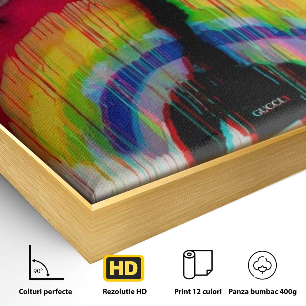 Detaliu al suprafetei: tablou canvas cu silueta si curcubeu graffiti, in rama de aluminiu auriu
