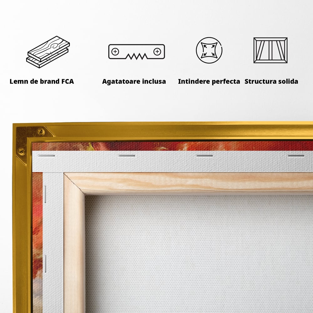 Spatele produsului, cu sasiu din lemn, capse metalice si agatatoare