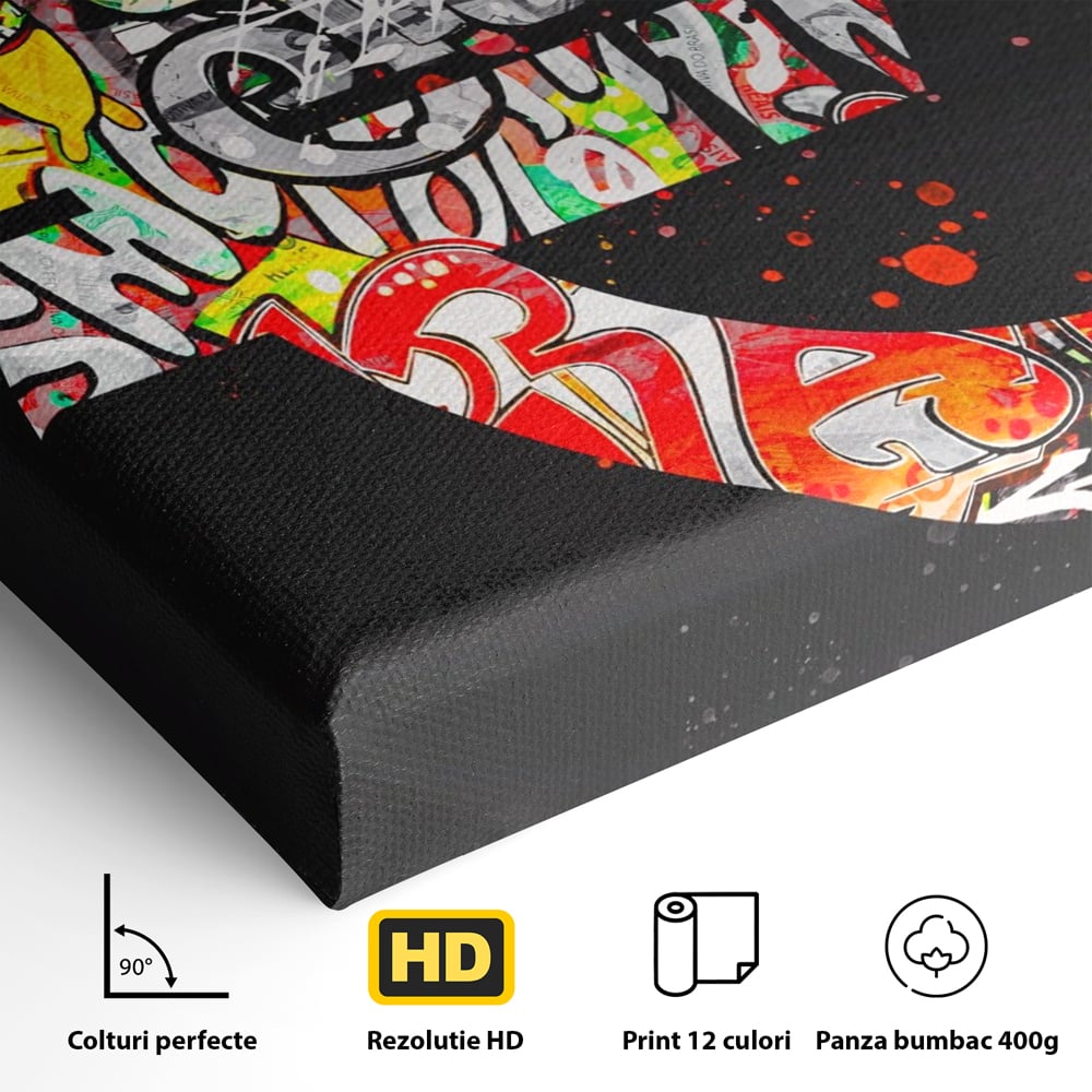 Tablou Canvas A1206, The Euro Sign , Decorativ, Birou, Graffiti Euro, Bani, Living, Culori Vibrante