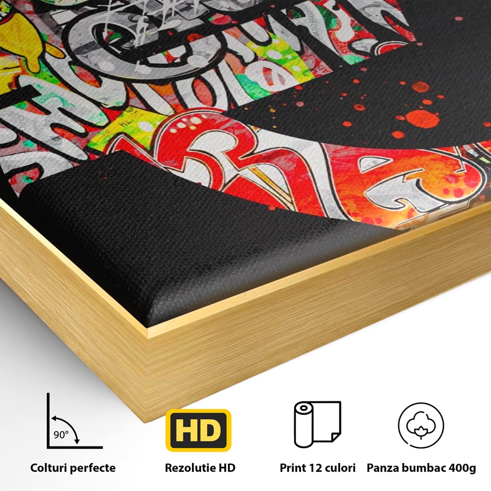 Tablou Canvas A1206, The Euro Sign , Decorativ, Birou, Graffiti Euro, Bani, Living, Culori Vibrante