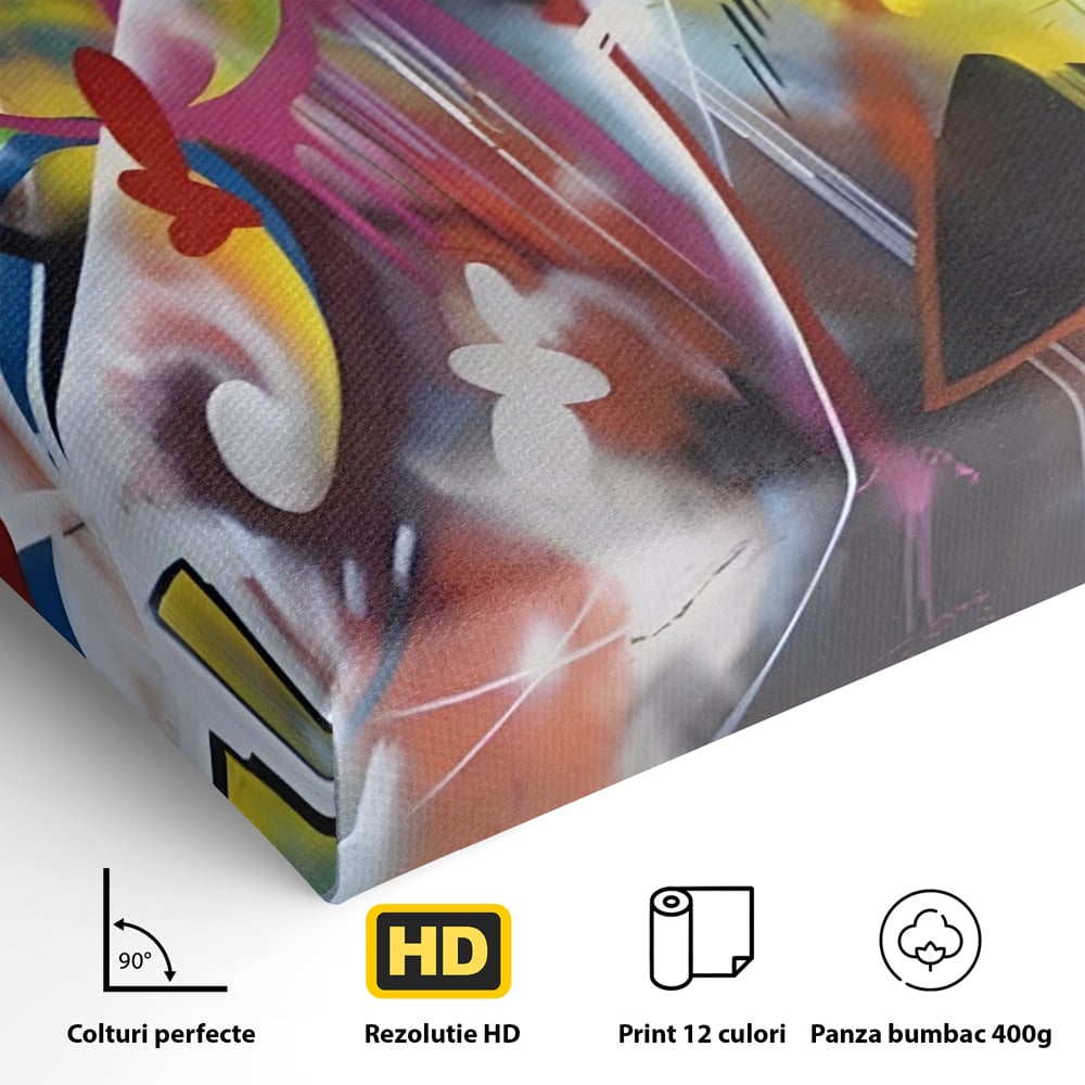 Detaliu al suprafetei: tablou canvas cu arta graffiti colorata, fara rama, pe sasiu de lemn