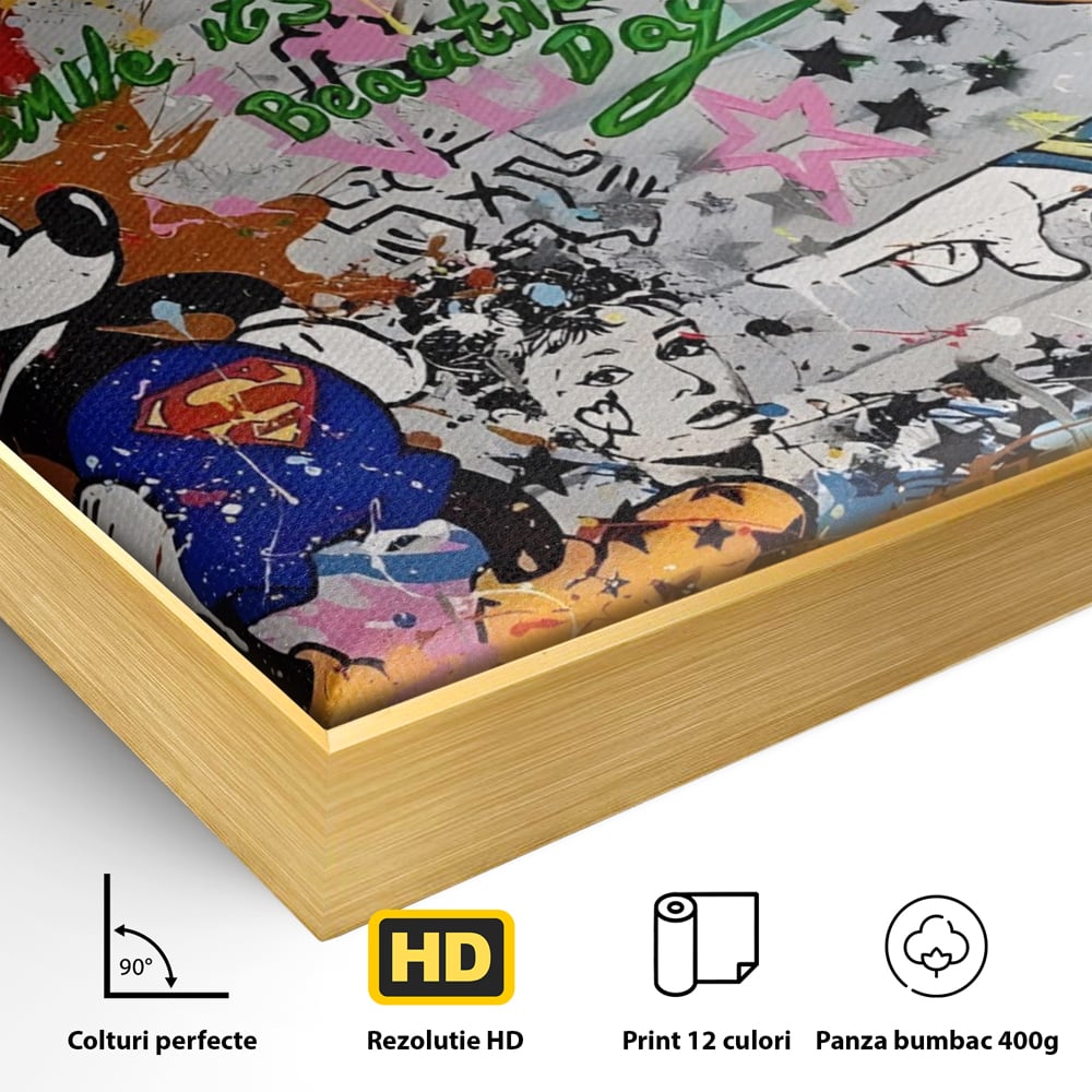 Detaliu al suprafetei: tablou canvas cu graffiti si desene animate, in rama de aluminiu auriu