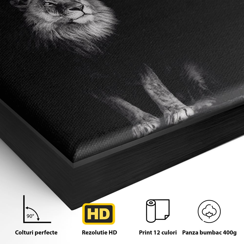 Detaliu al suprafetei: tablou canvas cu leu alb-negru, in rama de aluminiu negru