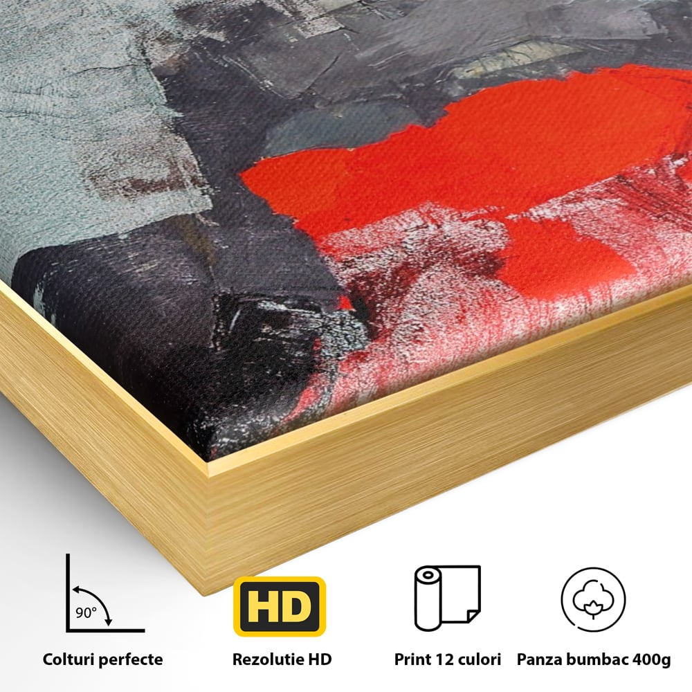 Detaliu al suprafetei: tablou canvas cu portretul unei femei in rosu si negru, in rama de aluminiu auriu