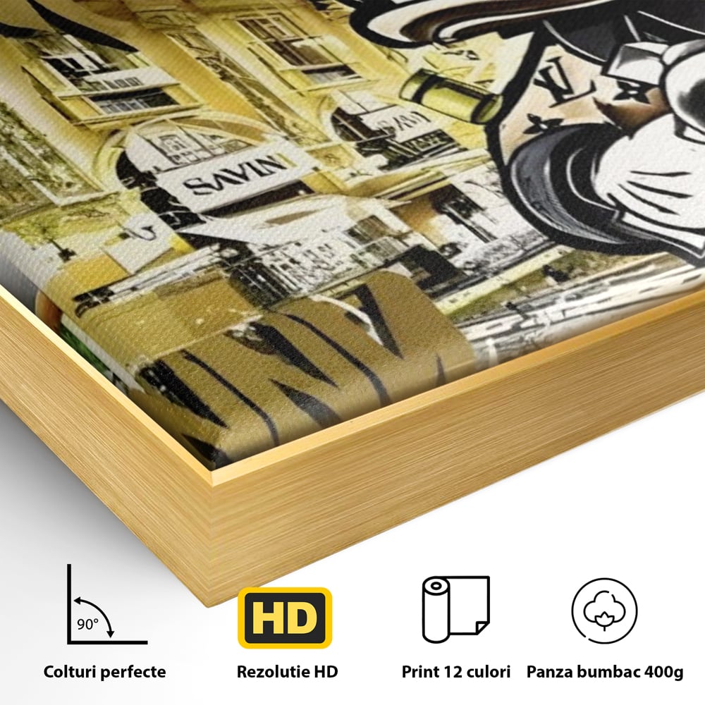 Detaliu al suprafetei: tablou canvas cu rata scrooge mcduck si graffiti, in rama de aluminiu auriu