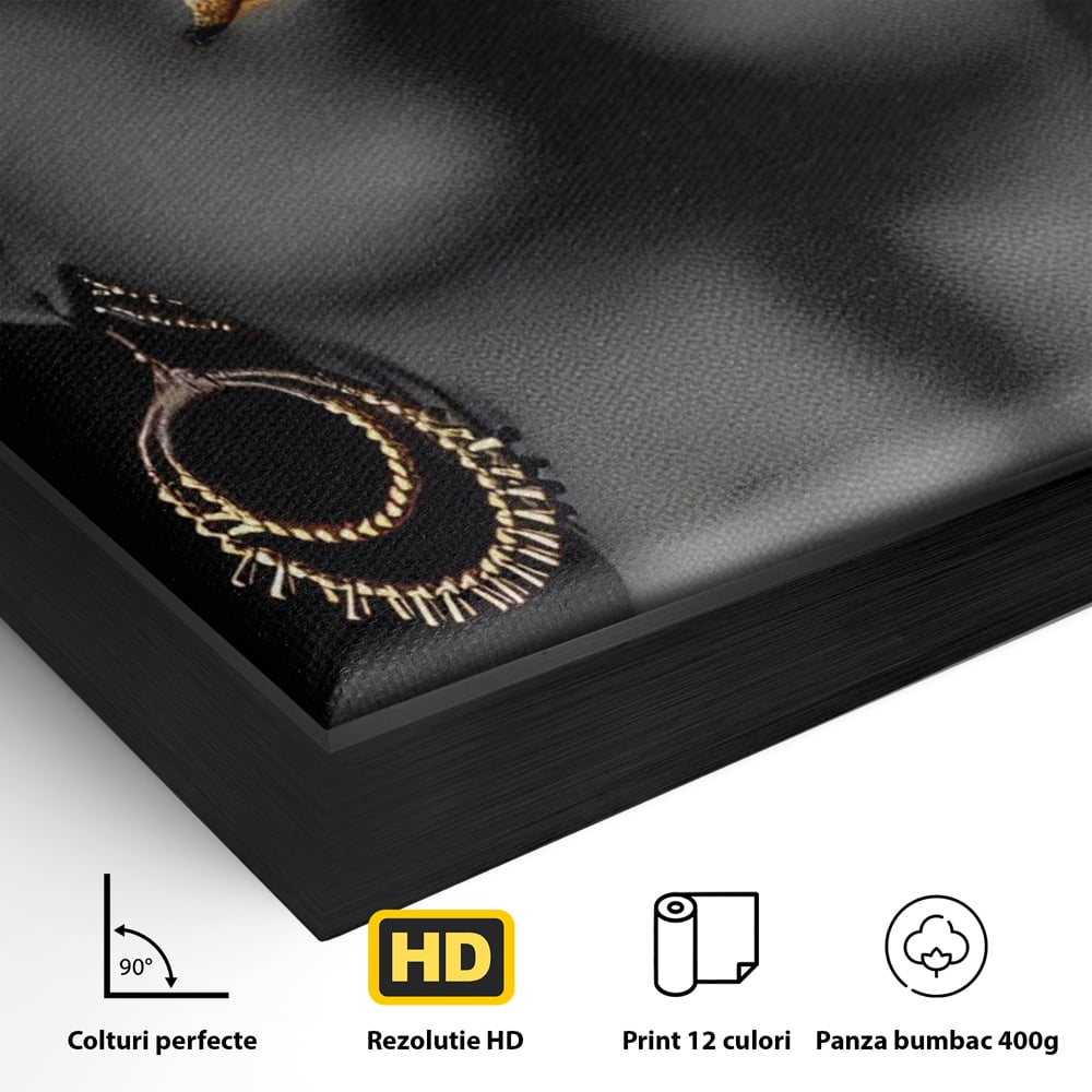 Detaliu al suprafetei: tablou canvas cu femeie si detalii aurii, in rama de aluminiu negru
