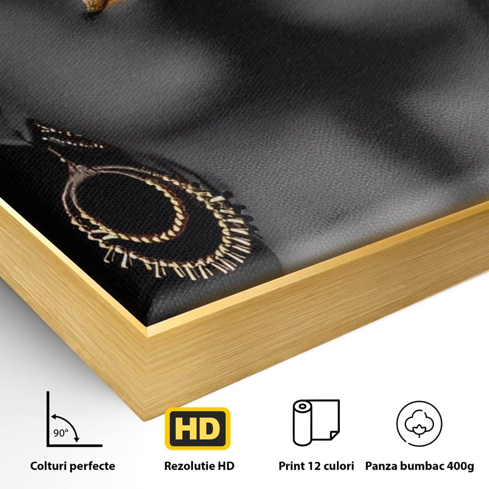 Detaliu al suprafetei: tablou canvas cu femeie si detalii aurii, in rama de aluminiu auriu
