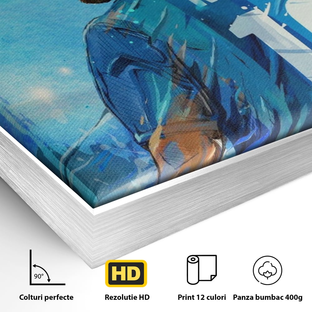 Detaliu al suprafetei: ilustratie digitala cu messi, in rama de aluminiu argintiu