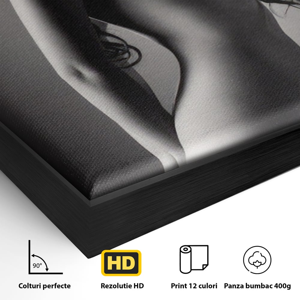 Detaliu al suprafetei: tablou canvas cu silueta de femeie, in rama de aluminiu negru
