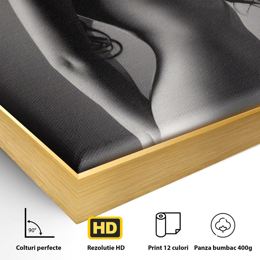 Detaliu al suprafetei: tablou canvas cu silueta de femeie, in rama de aluminiu auriu