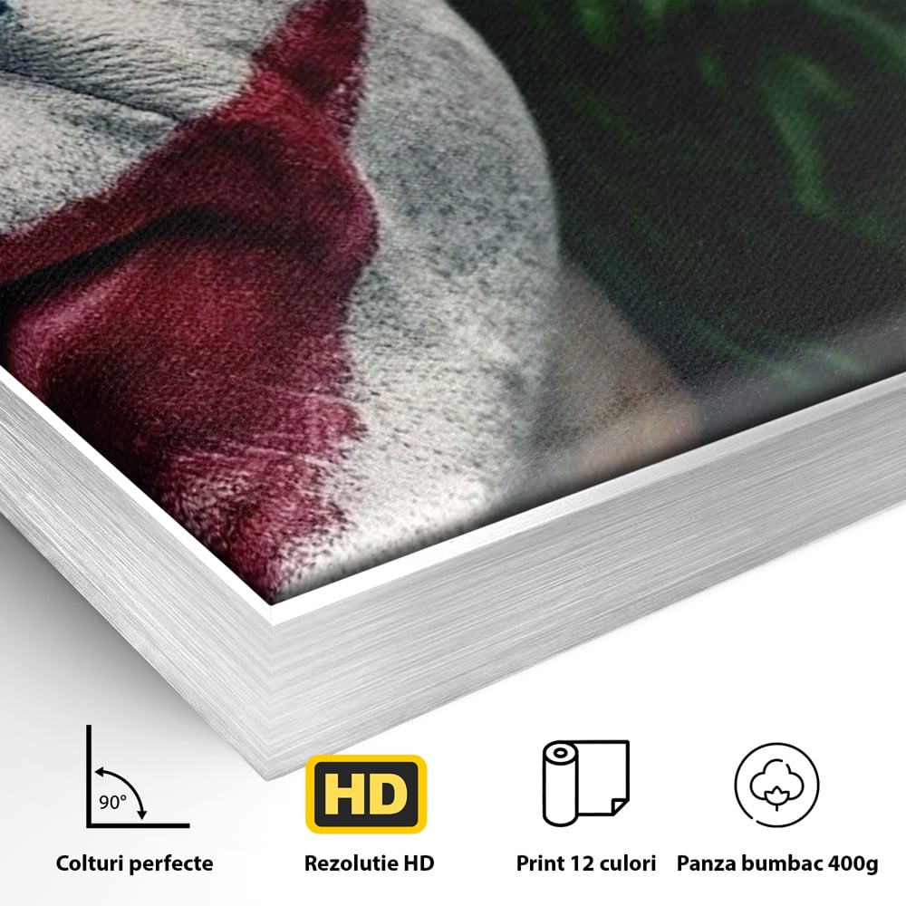 Detaliu al suprafetei: portret close-up cu joker pe canvas, in rama de aluminiu argintiu
