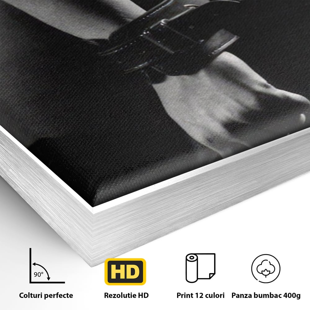 Detaliu al suprafetei: tablou canvas cu trup nud si catuse, in rama de aluminiu argintiu