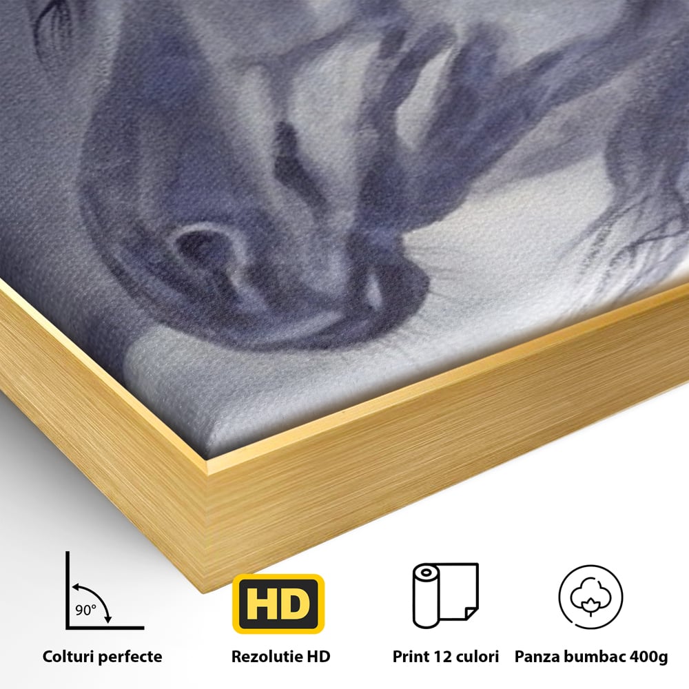 Detaliu al suprafetei: tablou canvas cu portret de cal gri, in rama de aluminiu auriu