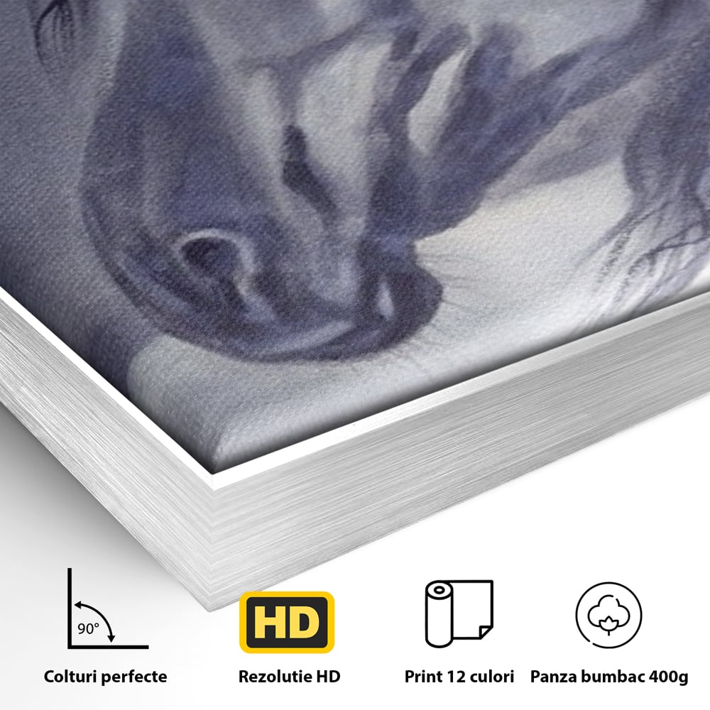 Detaliu al suprafetei: tablou canvas cu portret de cal gri, in rama de aluminiu argintiu