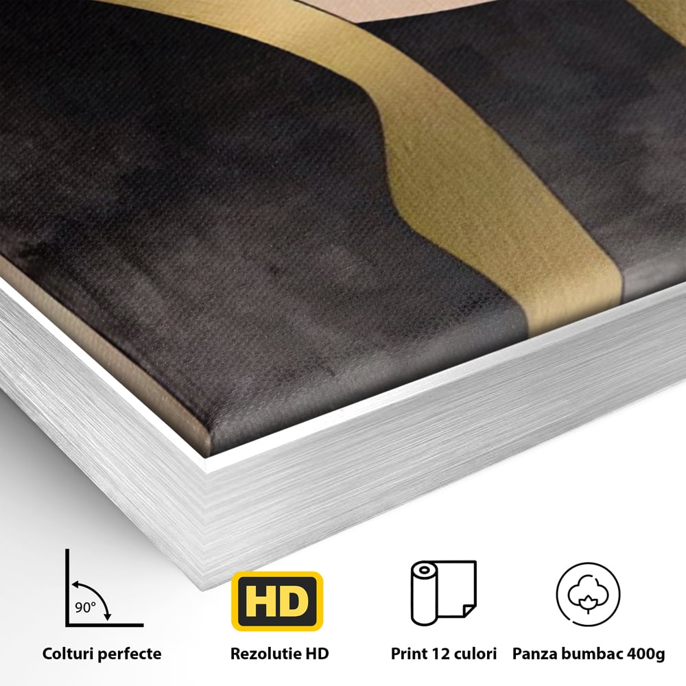 Detaliu al suprafetei: tablou canvas cu forme abstracte aurii, in rama de aluminiu argintiu
