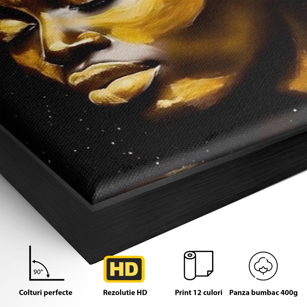 Detaliu al suprafetei: tablou canvas portret femeie auriu, in rama de aluminiu negru