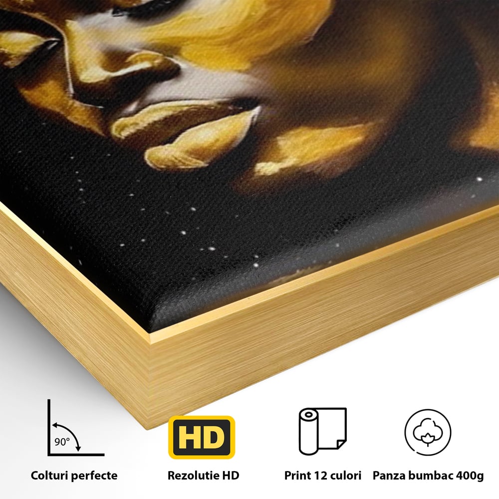 Detaliu al suprafetei: tablou canvas portret femeie auriu, in rama de aluminiu auriu