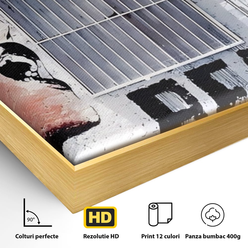 Detaliu al suprafetei: tablou canvas cu femeie si graffiti, in rama de aluminiu auriu