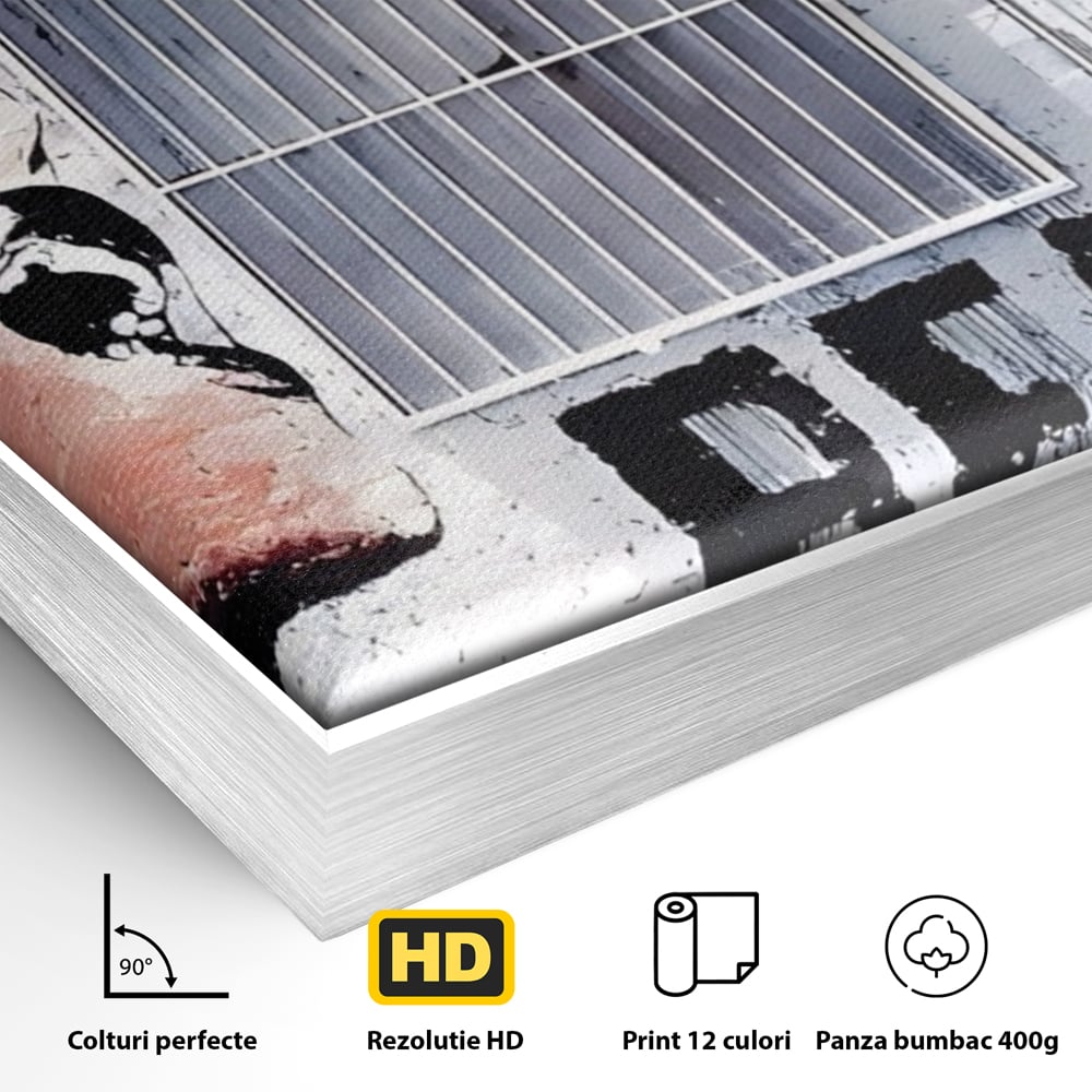 Detaliu al suprafetei: tablou canvas cu femeie si graffiti, in rama de aluminiu argintiu