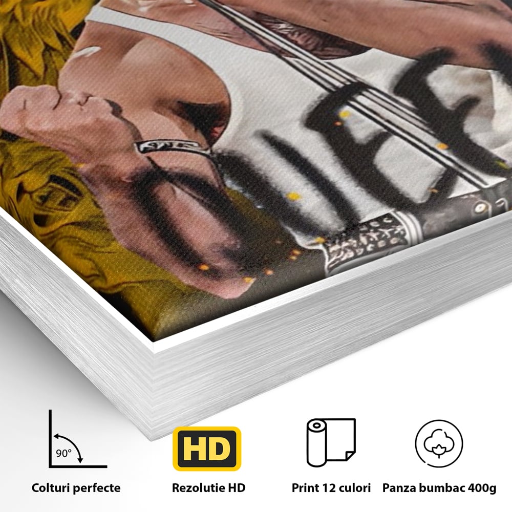 Detaliu al suprafetei: tablou canvas cu freddie mercury, in rama de aluminiu argintiu