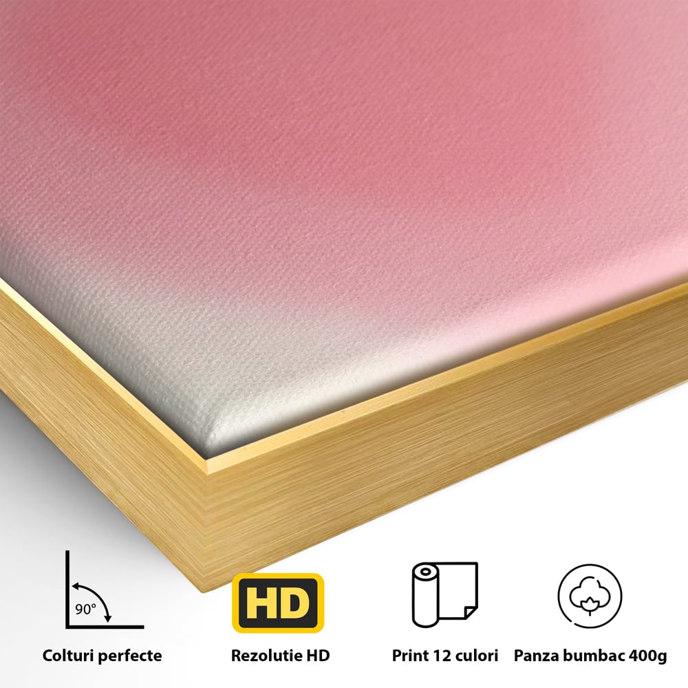 Detaliu al suprafetei: tablou canvas cu inima roz, in rama de aluminiu auriu