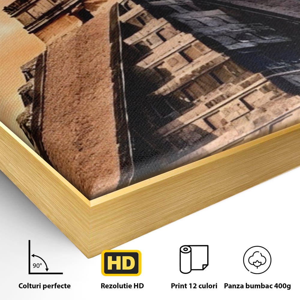 Detaliu al suprafetei: tablou canvas cu piramida mayasa, in rama de aluminiu auriu