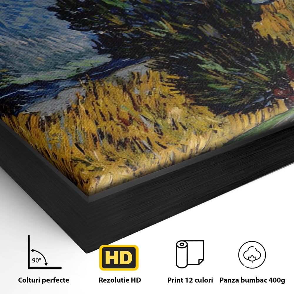 Detaliu al suprafetei: reproducere pictura van gogh, in rama de aluminiu negru