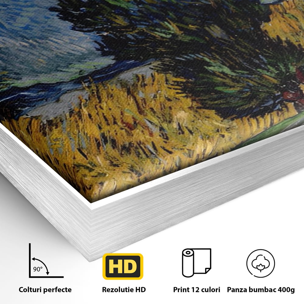 Detaliu al suprafetei: reproducere pictura van gogh, in rama de aluminiu argintiu