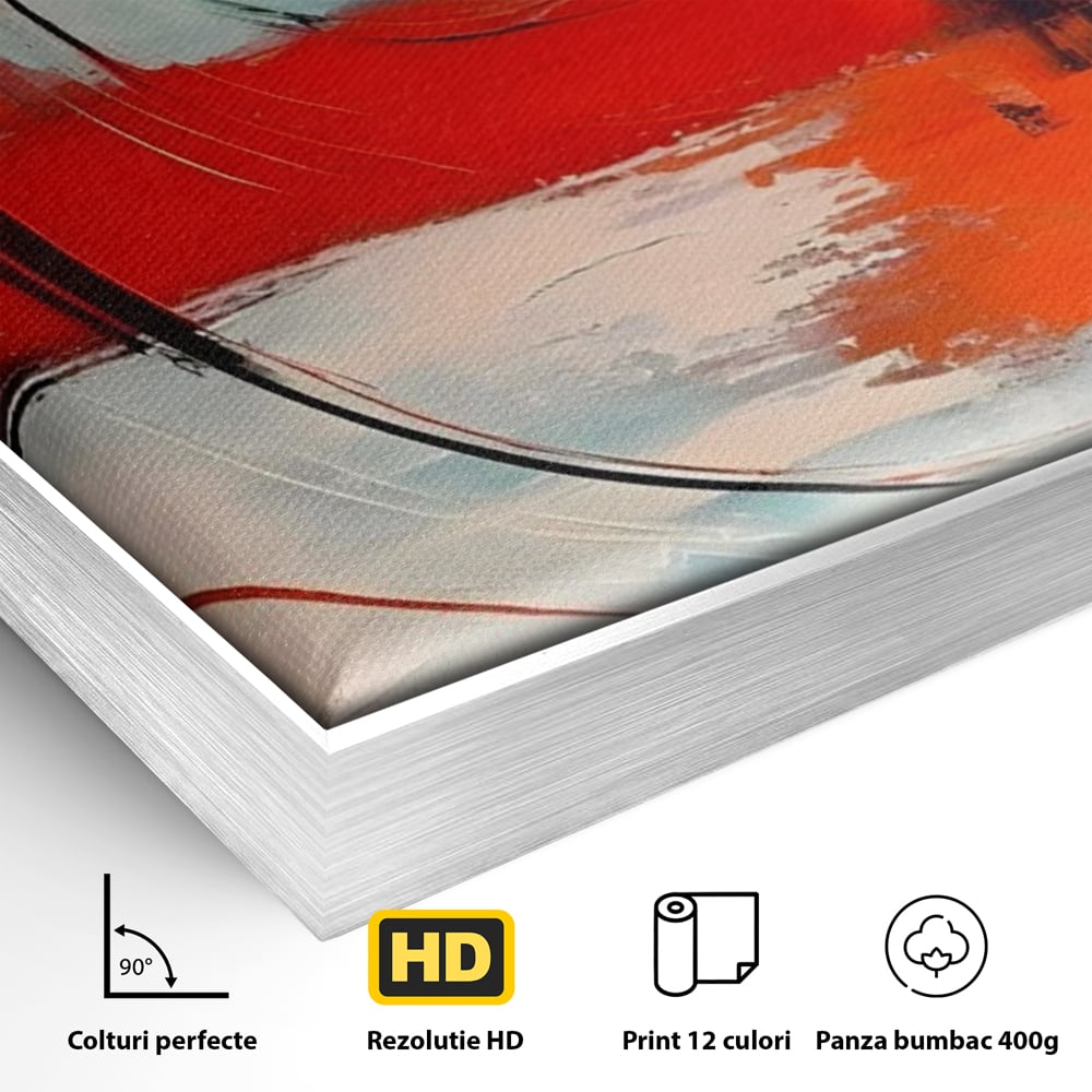 Detaliu al suprafetei: pictura abstracta cu cercuri concentrice, in rama de aluminiu argintiu