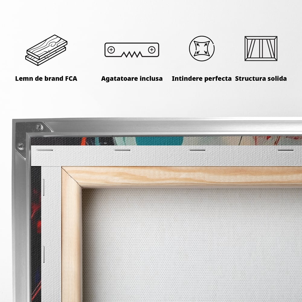 Spatele produsului, cu sasiu din lemn, capse metalice si agatatoare