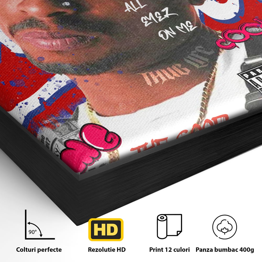 Detaliu al suprafetei: tablou canvas cu portret tupac shakur, in rama de aluminiu negru