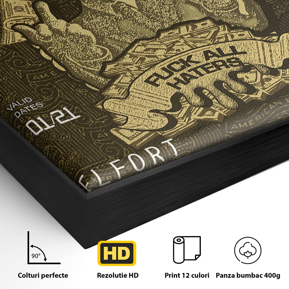 Detaliu al suprafetei: tablou canvas cu card american express stilizat, in rama de aluminiu negru