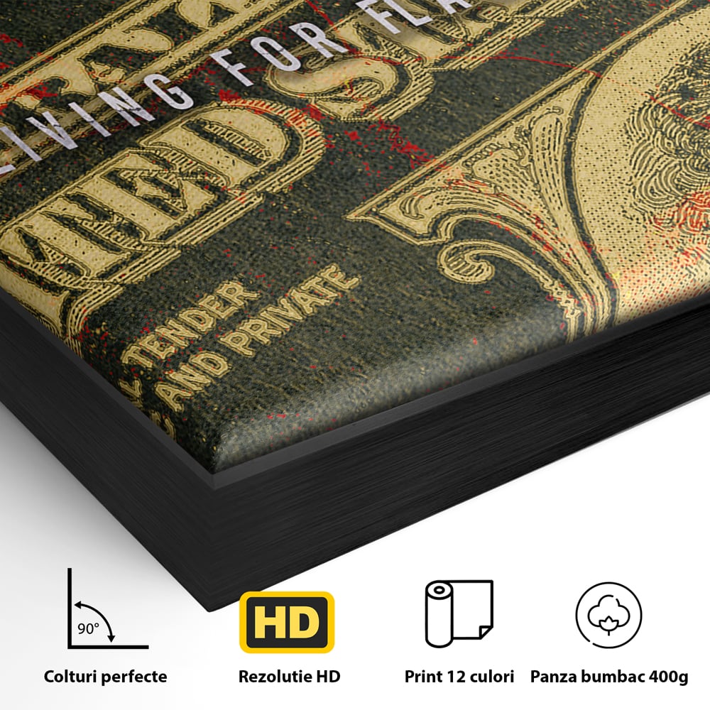 Detaliu al suprafetei: tablou canvas cu grafica bancnota stilizata, in rama de aluminiu negru