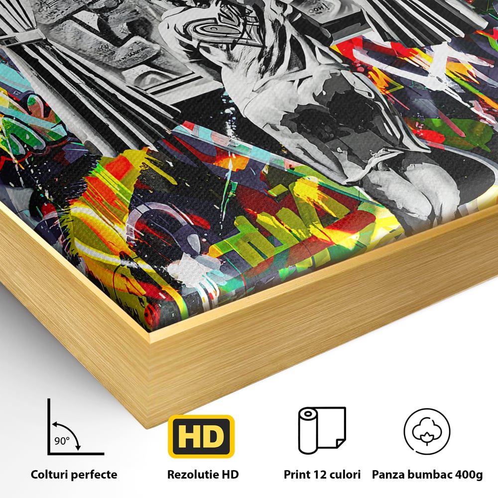 Detaliu al suprafetei: tablou canvas cu graffiti urban si o silueta, in rama de aluminiu auriu