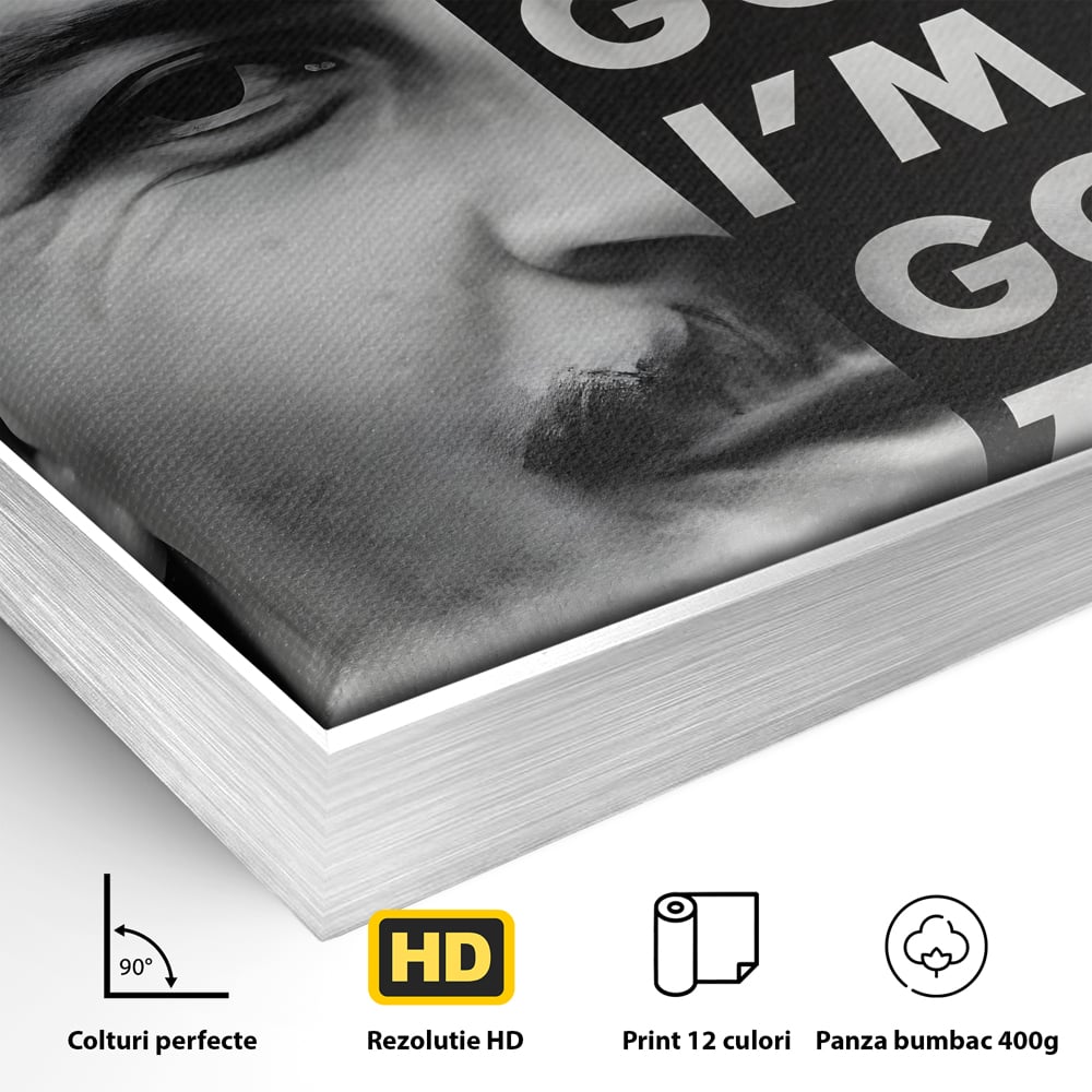 Detaliu al suprafetei: tablou canvas cu portretul lui pablo escobar, in rama de aluminiu argintiu