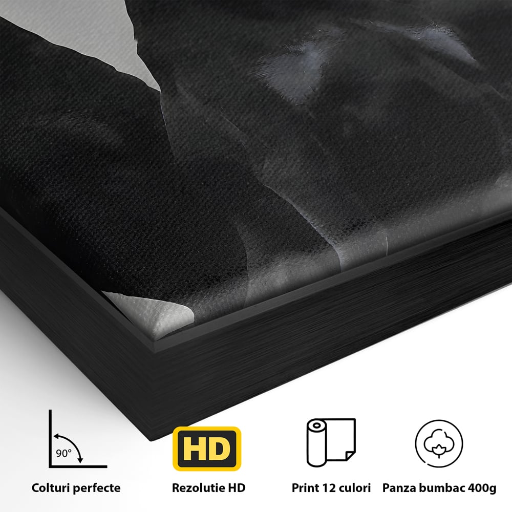 Detaliu al suprafetei: tablou canvas cu trei dobermani, in rama de aluminiu negru