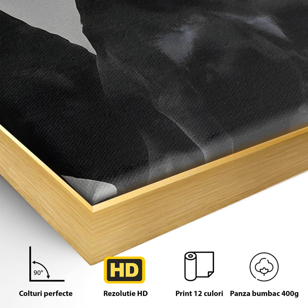 Detaliu al suprafetei: tablou canvas cu trei dobermani, in rama de aluminiu auriu
