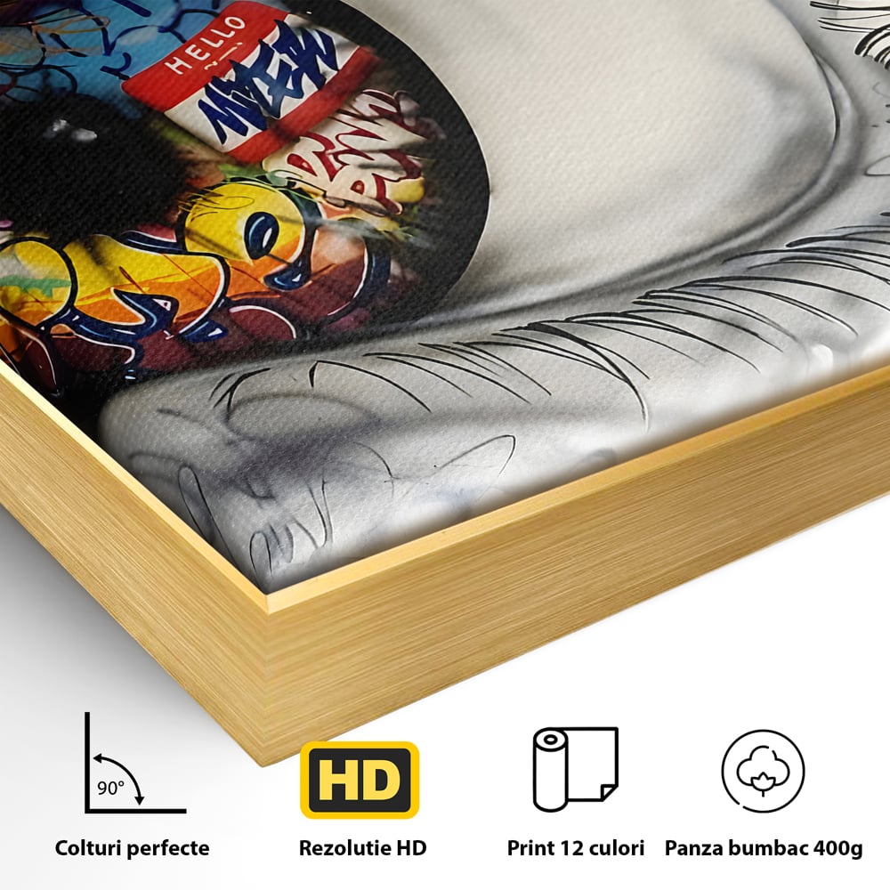 Detaliu al suprafetei: tablou canvas cu ochi uman si graffiti, in rama de aluminiu auriu