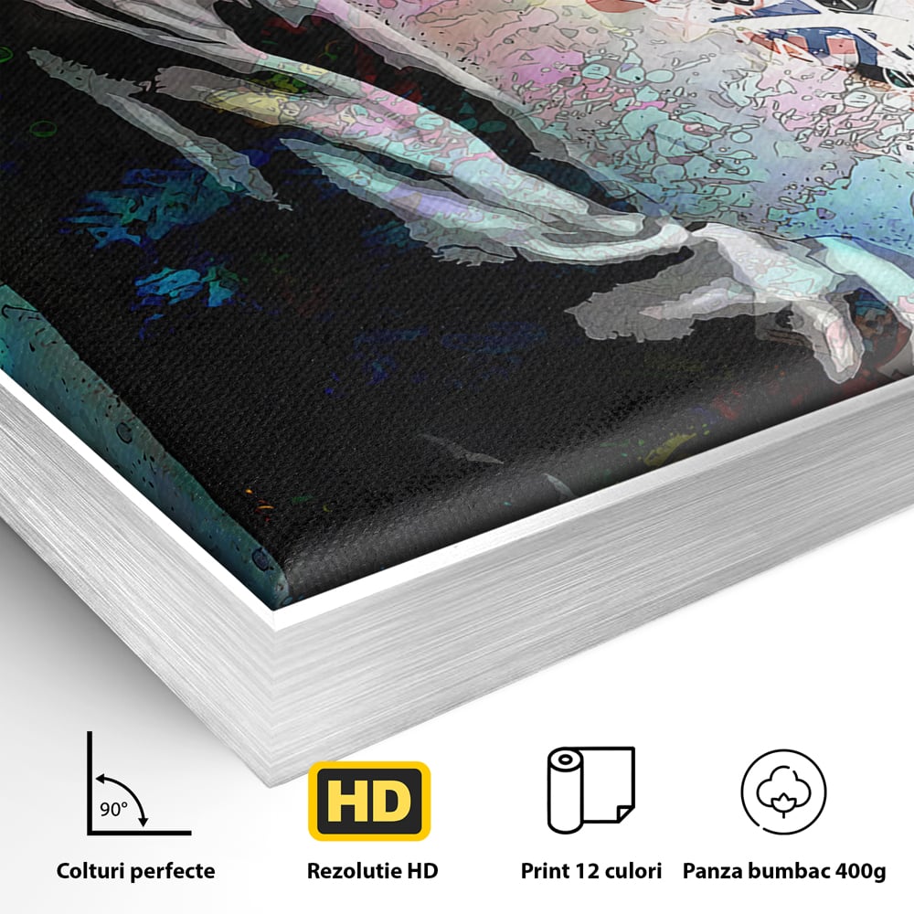 Detaliu al suprafetei: tablou canvas cu baiat in hanorac, in rama de aluminiu argintiu