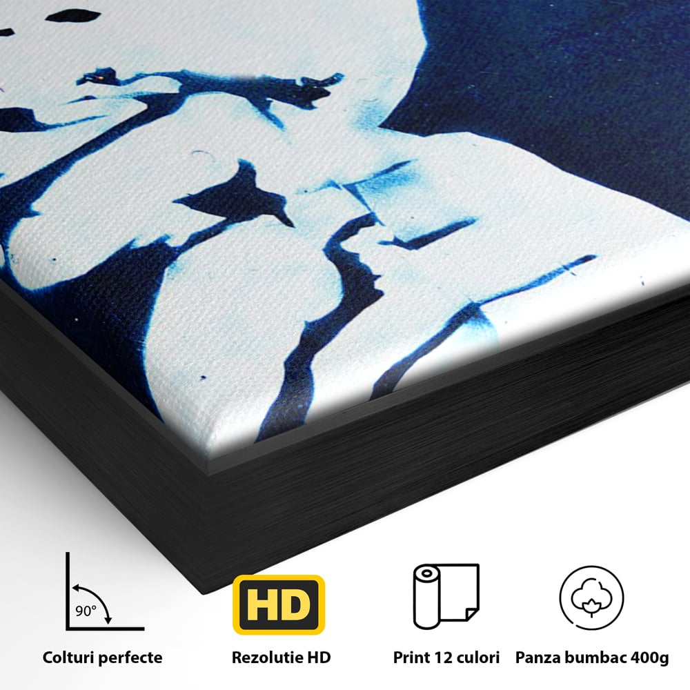 Detaliu al suprafetei: tablou canvas cu portretul stilizat al lui bob marley, in rama de aluminiu negru