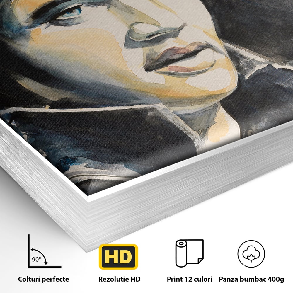 Detaliu al suprafetei: pictura cu portretul lui elvis presley, in rama de aluminiu argintiu