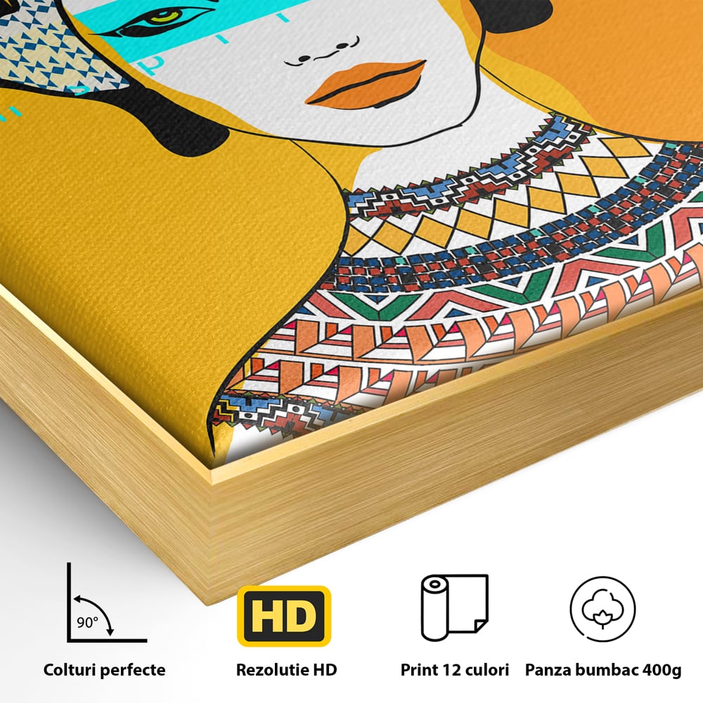 Detaliu al suprafetei: ilustratie digitala cu femeie africana, in rama de aluminiu auriu