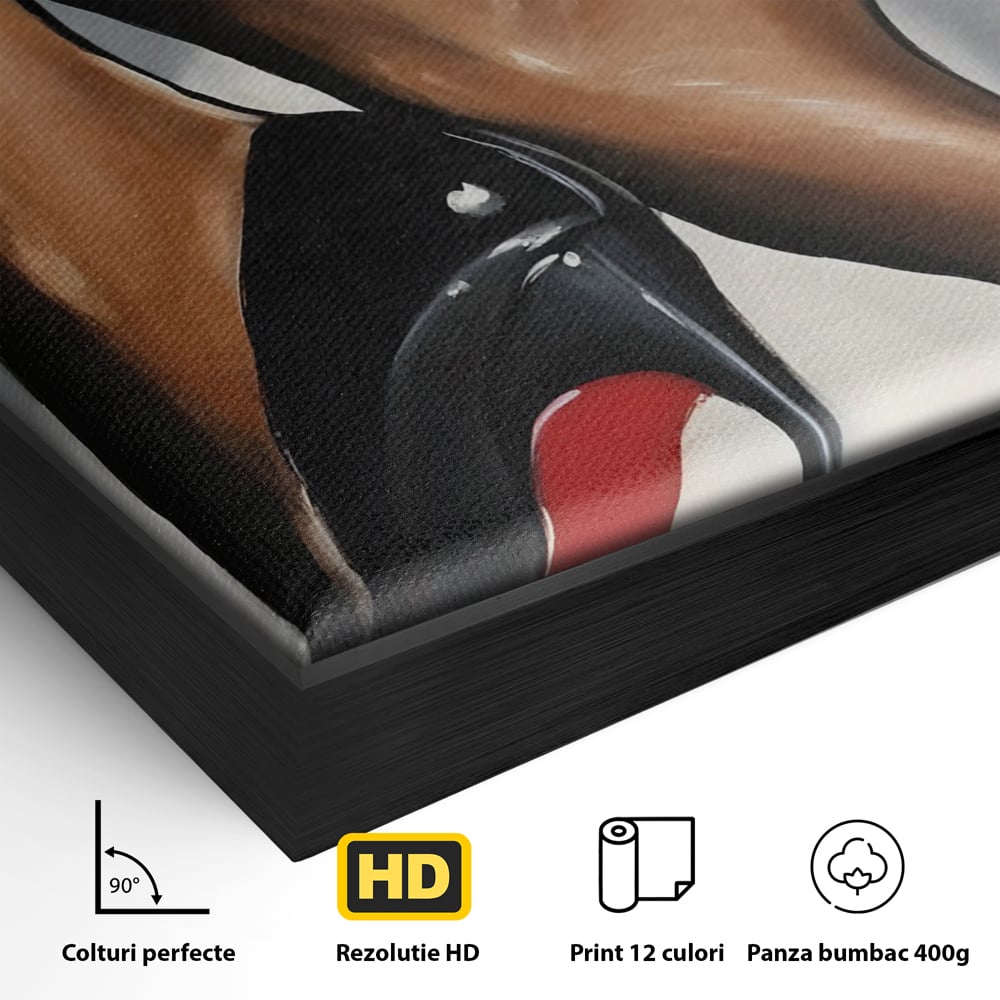 Detaliu al suprafetei: ilustratie cu picioare si pantofi eleganti, in rama de aluminiu negru